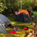 IMG_1249.